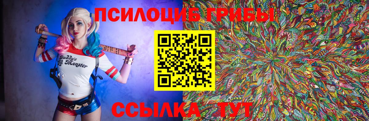 Псилоцибиновые грибы Cubensis  Вход с VPN  Симферополь  Галлюциногенные грибы Psilocybine cubensis 