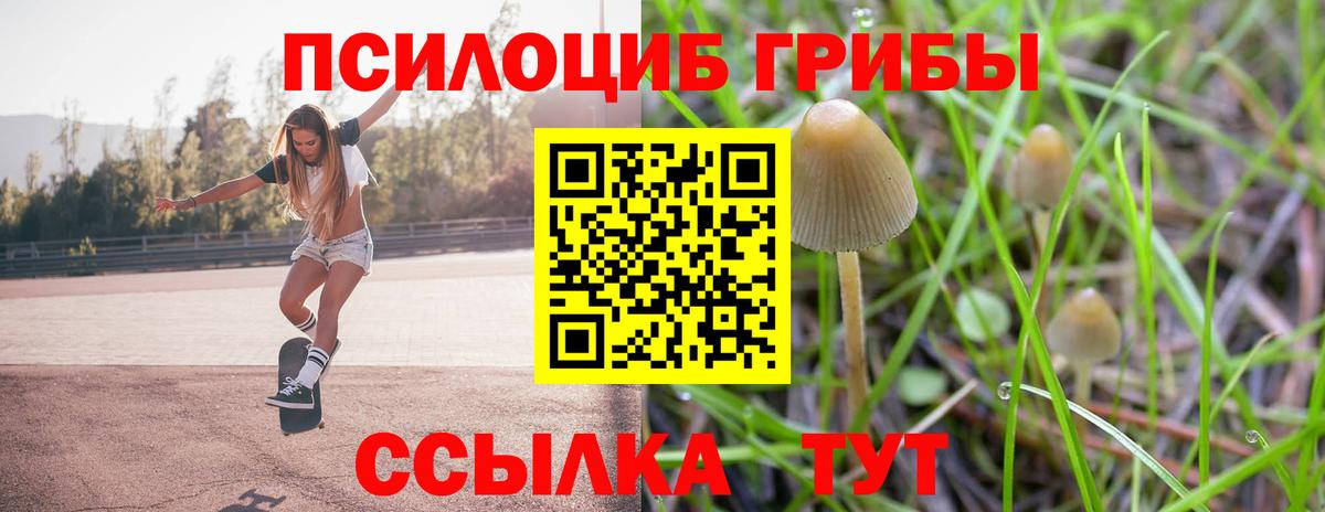 Псилоцибиновые грибы мухоморы Симферополь